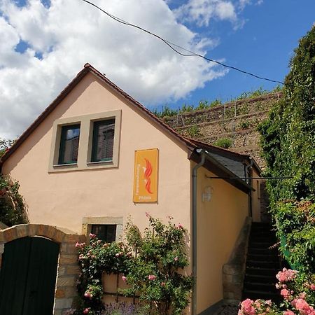 Unterkunft Am Weinberg Nunchritz Esterno foto