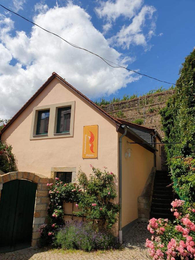 Unterkunft Am Weinberg Nunchritz Esterno foto